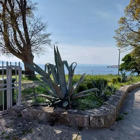 Sobe Kraft 1 * Živogošće