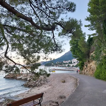 Sobe Kraft 1 アパート